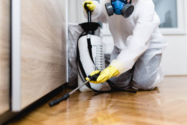 Best Wasp Removal Services  in Merritt Island, FL