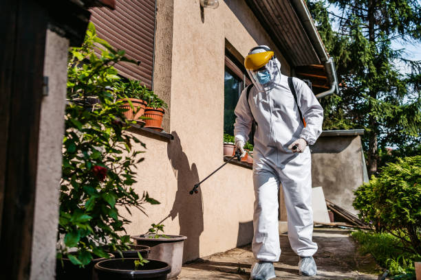 Best Flea Control Services  in Merritt Island, FL