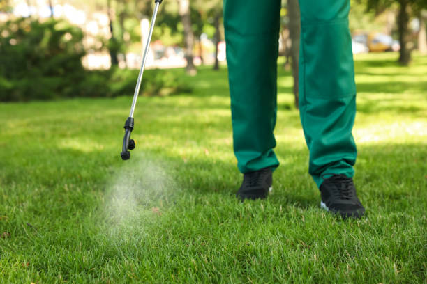 Best Pest Inspection Near Me  in Merritt Island, FL