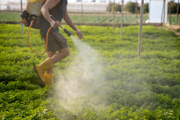 Best Best Pest Control Companies  in Merritt Island, FL
