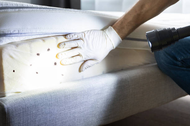 Best Commercial Pest Control Services  in Merritt Island, FL