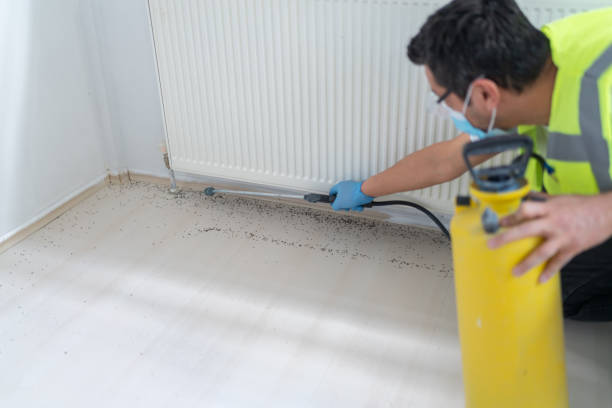  Merritt Island, FL Pest Control Pros
