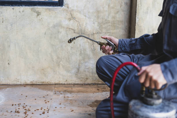 Best Pest Control for Businesses  in Merritt Island, FL