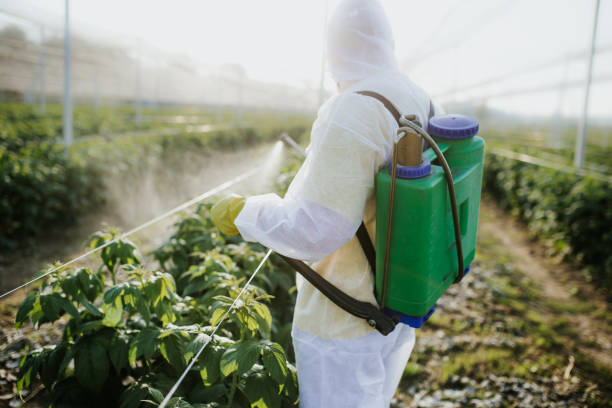 Reliable Merritt Island, FL Pest Control Solutions